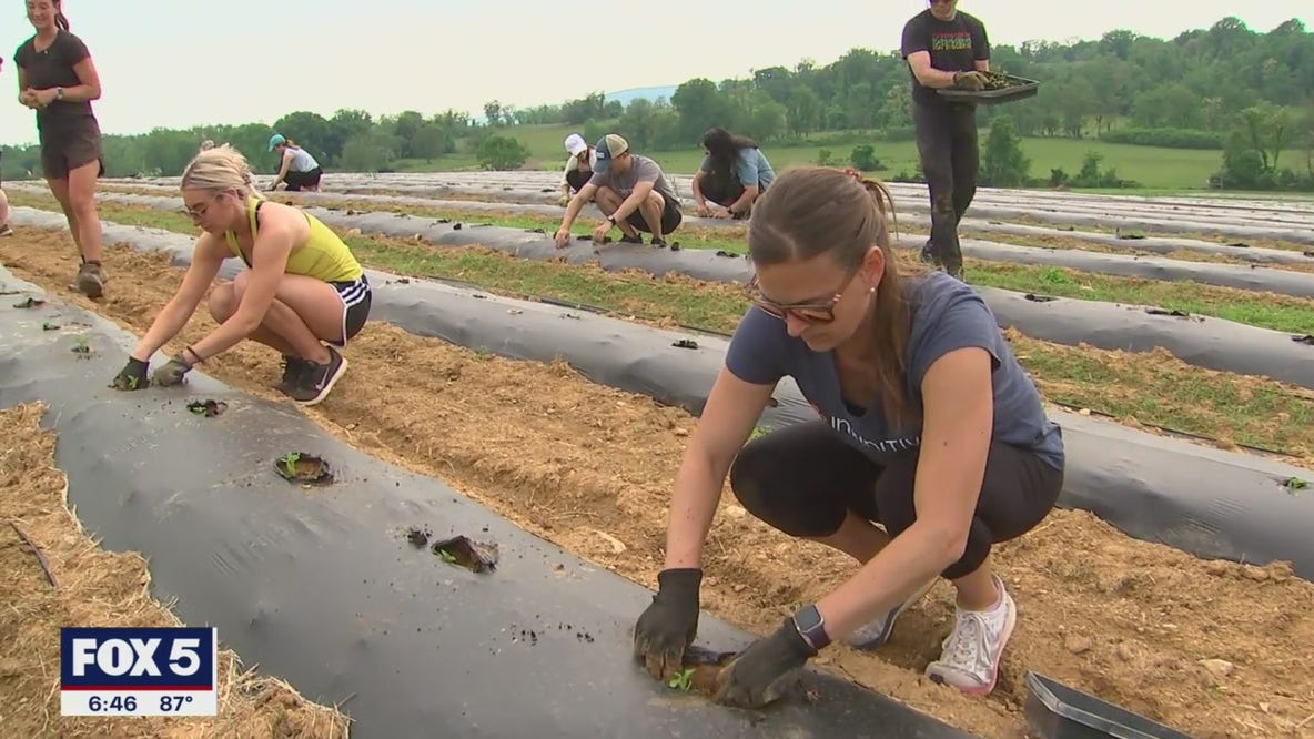Loudon County farm hosts Plant-A-Thon